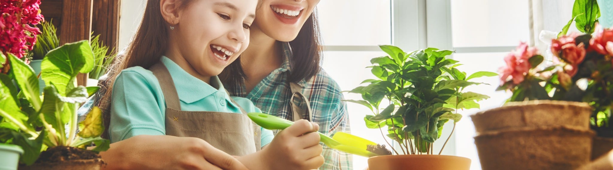 Beneficios de tener un huerto en casa