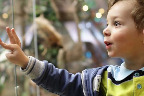Planes para hacer con tus hijos en vacaciones