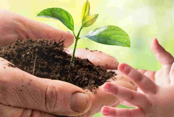 ¿Cómo hablar con los niños sobre el cambio climático?