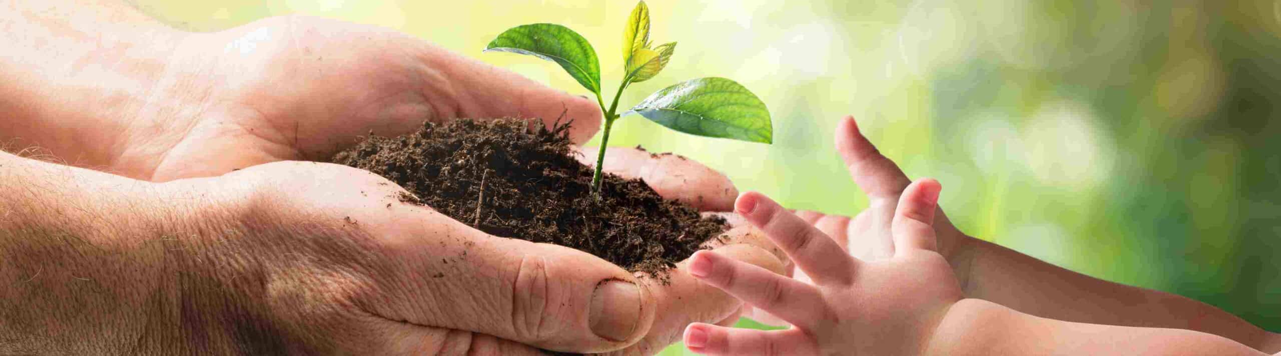 ¿Cómo hablar con los niños sobre el cambio climático?