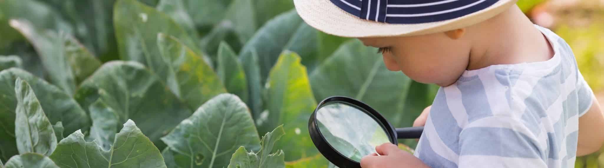 Aprender explorando: cuando la curiosidad guía la aventura